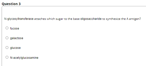 Question 3
N-glycosyltransferase attaches which sugar to the base oligosaccharide to synthesize the A antigen?
fucose
galactose
glucose
O N-acetylglucosamine
