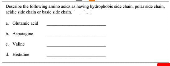 Describe the following amino acids as having hydrophobic side chain, polar side chain,
acidic side chain or basic side chain.
a. Glutamic acid
b. Asparagine
c. Valine
d. Histidine