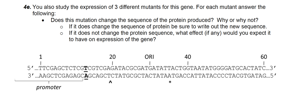 4e. You also study the expression of 3 different mutants for this gene. For each mutant answer the
following:
Does this mutation change the sequence of the protein produced? Why or why not?
If it does change the sequence of protein be sure to write out the new sequence.
If it does not change the protein sequence, what effect (if any) would you expect it
to have on expression of the gene?
1
20
ORI
40
60
5'...TTCGAGCTCTCGTCGTCGAGATACGCGATGATATTACTGGTAATATGGGGATGCACTATC...3'
3' ...AAGCTCGAGAGCAGCAGCTCTATGCGCTACTATAATGACCATTATACCCCTACGTGATAG...5'
*
promoter
