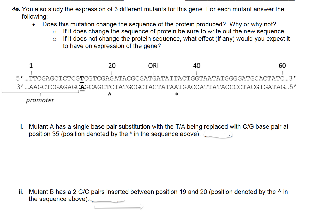 4e. You also study the expression of 3 different mutants for this gene. For each mutant answer the
following:
Does this mutation change the sequence of the protein produced? Why or why not?
If it does change the sequence of protein be sure to write out the new sequence.
If it does not change the protein sequence, what effect (if any) would you expect it
to have on expression of the gene?
1
20
ORI
40
60
5'..TTCGAGCTCTCGTCGTCGAGATACGCGATGATATTACTGGTAATATGGGGATGCACTATC...3’
3'...AAGCTCGAGAGCAGCAGCTCTATGCGCTACTATAATGACCATTATACCCCTACGTGATAG...5’
promoter
i. Mutant A has a single base pair substitution with the T/A being replaced with C/G base pair at
position 35 (position denoted by the * in the sequence above).
ii. Mutant B has a 2 G/C pairs inserted between position 19 and 20 (position denoted by the ^ in
the sequence above).
