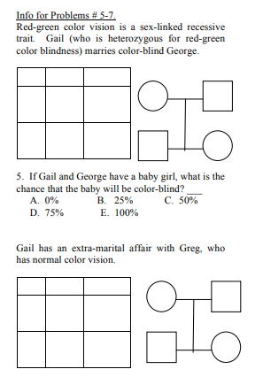 Info for Problems # 5-7.
Red-green color vision is a sex-linked recessive
trait. Gail (who is heterozygous for red-green
color blindness) marries color-blind George.
5. If Gail and George have a baby girl, what is the
chance that the baby will be color-blind?
A. 0%
B. 25%
C. 50%
D. 75%
E. 100%
Gail has an extra-marital affair with Greg, who
has normal color vision.
