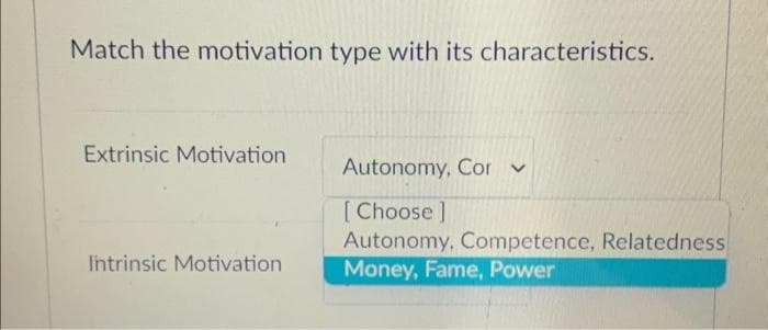 Match the motivation type with its characteristics.
Extrinsic Motivation
Intrinsic Motivation
Autonomy, Corv
[Choose ]
Autonomy, Competence, Relatedness
Money, Fame, Power
