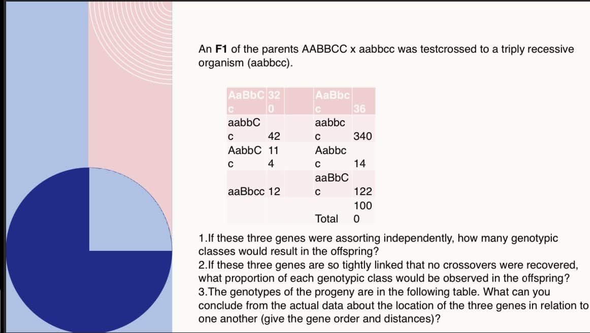 An F1 of the parents AABBCC x aabbcc was testcrossed to a triply recessive
organism (aabbcc).
AaBbC 32
0
C
aabbc
42
с
AabbC 11
4
C
aaBbcc 12
AaBbc
C
aabbc
C
Aabbc
C
aaBbC
C
36
340
14
122
100
0
Total
1. If these three genes were assorting independently, how many genotypic
classes would result in the offspring?
2.If these three genes are so tightly linked that no crossovers were recovered,
what proportion of each genotypic class would be observed in the offspring?
3. The genotypes of the progeny are in the following table. What can you
conclude from the actual data about the location of the three genes in relation to
one another (give the gene order and distances)?