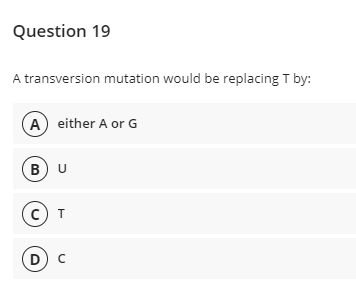 Question 19
A transversion mutation would be replacing T by:
A either A or G
BU
(c) T
D) c
