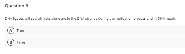 Question 6
DNA ligases will seal all nicks there are in the DNA strands during the replication process and in DNA repair.
A) True
(B) False
