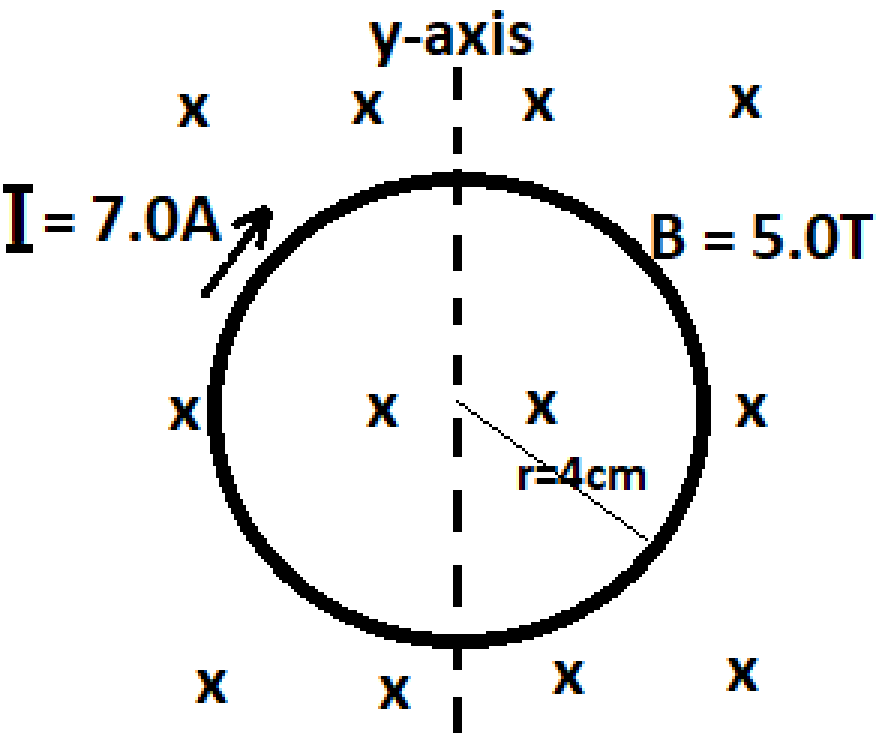 y-axis
X X X X
I= 7.0A
X
X
x xi
X
X
X
4cm
B = 5.0T
X
X X