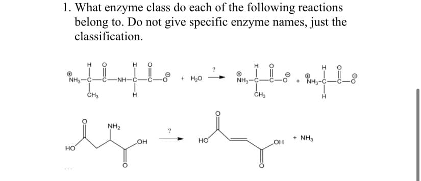 1. What enzyme class do each of the following reactions
belong to. Do not give specific enzyme names, just the
classification.
H
NH3-C
HO
CH3
O
H O
NH–C -C
NH₂
H
+ H₂O
OH
„[ls.u]ls
C-
NH3-
H
?
HO
Agardagin
NH3-C
CH3
OH
+ NH3
H
H