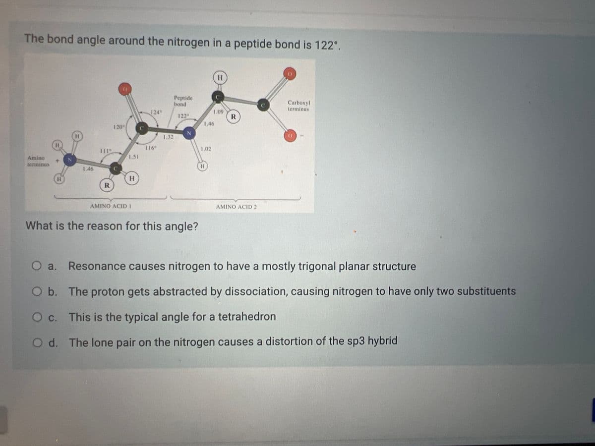 The bond angle around the nitrogen in a peptide bond is 122°.
Amino
terminos
H
11
1119
R
120°
1.51
H
AMINO ACID 1
116²
1.32
Peptide
bond
122
What is the reason for this angle?
1.46
1.02
H
H
1.09
R
AMINO ACID 2
Carboxyl
terminus
Resonance causes nitrogen to have a mostly trigonal planar structure
O b. The proton gets abstracted by dissociation, causing nitrogen to have only two substituents
O c. This is the typical angle for a tetrahedron
O d. The lone pair on the nitrogen causes a distortion of the sp3 hybrid