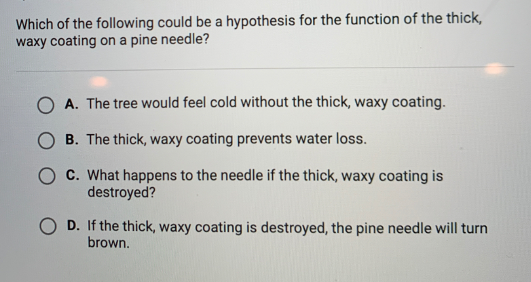 Which of the following could be a hypothesis for the function of the thick,
waxy coating on a pine needle?
O A. The tree would feel cold without the thick, waxy coating.
B. The thick, waxy coating prevents water loss.
C. What happens to the needle if the thick, waxy coating is
destroyed?
D. If the thick, waxy coating is destroyed, the pine needle will turn
brown.
