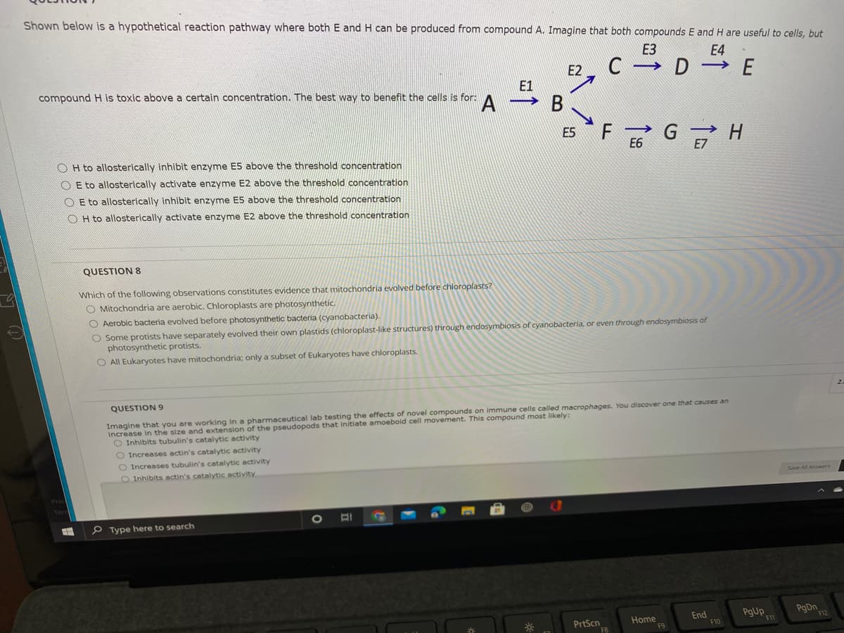 Shown below is a hypothetical reaction pathway where both E and H can be produced from compound A. Imagine that both compounds E and H are useful to cells, but
ЕЗ
E4
C D E
E2
compound H is toxic above a certain concentration. The best way to benefit the cells is for:
E1
В
E5
E6
E7
O H to allosterically inhibit enzyme ES above the threshold concentration
O E to allosterically activate enzyme E2 above the threshold concentration
O E to allosterically inhibit enzyme ES above the threshold concentration
O H to allosterically activate enzyme E2 above the threshold concentration
QUESTION 8
Which of the following observations constitutes evidence that mitochondria evolved before chloroplasts?
O Mitochondria are aerobic. Chloroplasts are photosynthetic.
O Aerobic bacteria evolved before photosynthetic bacteria (cyanobacteria).
O Some protists have separately evolved their own plastids (chloroplast-like structures) through endosymbiosis of cyanobacteria, or even through endosymbiosis of
photosynthetic protists.
O All Eukaryotes have mitochondria; only a subset of Eukaryotes have chloroplasts.
2.
QUESTION 9
Imagine that you are working in a pharmaceutical lab testing the effects of novel compounds on immune cells called macrophages. You discover one that causes an
Increase in the size and extension of the pseudopods that initiate amoeboid cell movement. This compound most likely:
O Inhibits tubulin's catalytic activity
O Increases actin's catalytic activity
O Increases tubulin's catalytic activity
O Inhibits actin's catalytic activity
P Type here to search
Home
F9
End
F10
PgUp
PgDn
F12
PrtScn
11
