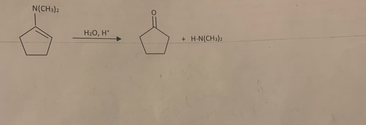 N(CH3)2
H₂O, H*
S
+
H-N(CH3)2