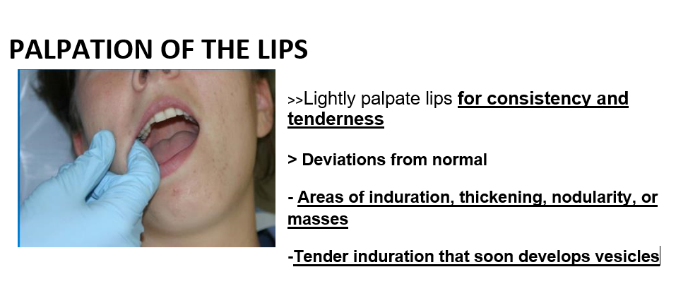 PALPATION OF THE LIPS
»Lightly palpate lips for consistency and
tenderness
> Deviations from normal
- Areas of induration, thickening, nodularity, or
masses
-Tender induration that soon develops vesicles

