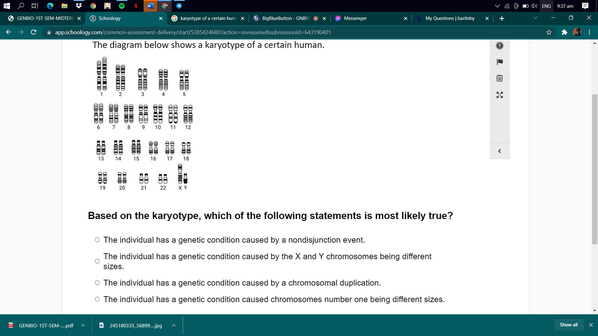 W
O () ENG
9:37 am
O GENBIO-1ST-SEM-MIDTERN X
9 Schoology
G karyotype of a certain huma x
6 BigBlueButton - GNBIO
Messenger
My Questions | bartleby
+
A app.schoology.com/common-assessment-delivery/start/5385424680?action=Donresume&submissionld=643190401
The diagram below shows a karyotype of a certain human.
8.
10
11
12
13
14
15
16
17
18
19
21
22
X Y
Based on the karyotype, which of the following statements is most likely true?
O The individual has a genetic condition caused by a nondisjunction event.
The individual has a genetic condition caused by the X and Y chromosomes being different
sizes.
O The individual has a genetic condition caused by a chromosomal duplication.
O The individual has a genetic condition caused chromosomes number one being different sizes.
GENBIO-1ST-SEM-.pdf
O 245180335_56899...jpg
Show all
...
TID N
DAD ×
IDD .
I ID.
