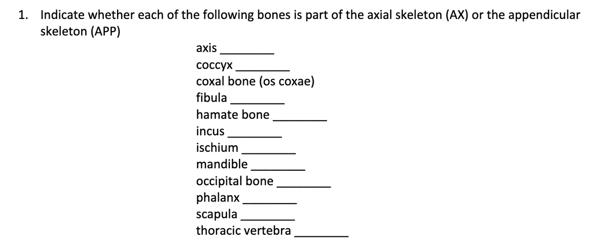 1. Indicate whether each of the following bones is part of the axial skeleton (AX) or the appendicular
skeleton (APP)
axis
соссух
coxal bone (os coxae)
fibula
hamate bone
incus
ischium
mandible
occipital bone
phalanx
scapula
thoracic vertebra
