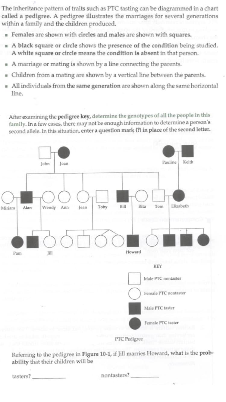 The inheritance pattern of traits such as PTC tasting can be diagrammed in a chart
called a pedigree. A pedigree illustrates the marriages for several generations
within a family and the children produced.
■ Females are shown with circles and males are shown with squares.
■ A black square or circle shows the presence of the condition being studied.
A white square or circle means the condition is absent in that person.
▪ A marriage or mating is shown by a line connecting the parents.
■ Children from a mating are shown by a vertical line between the parents.
■ All individuals from the same generation are shown along the same horizontal
line.
After examining the pedigree key, determine the genotypes of all the people in this
family. In a few cases, there may not be enough information to determine a person's
second allele. In this situation, enter a question mark (?) in place of the second letter.
어
Miriam
Pam
John Joan
Alan Wendy Ann
tasters?
Jean Toby
Bill
C
Rita
Foto d
Howard
nontasters?
Pauline Keith
Tom Elizabeth
KEY
Male PTC nontaster
Female PTC nontaster
Male PTC taster
PTC Pedigree
Referring to the pedigree in Figure 10-1, if Jill marries Howard, what is the prob-
ability that their children will be
Female PTC taster