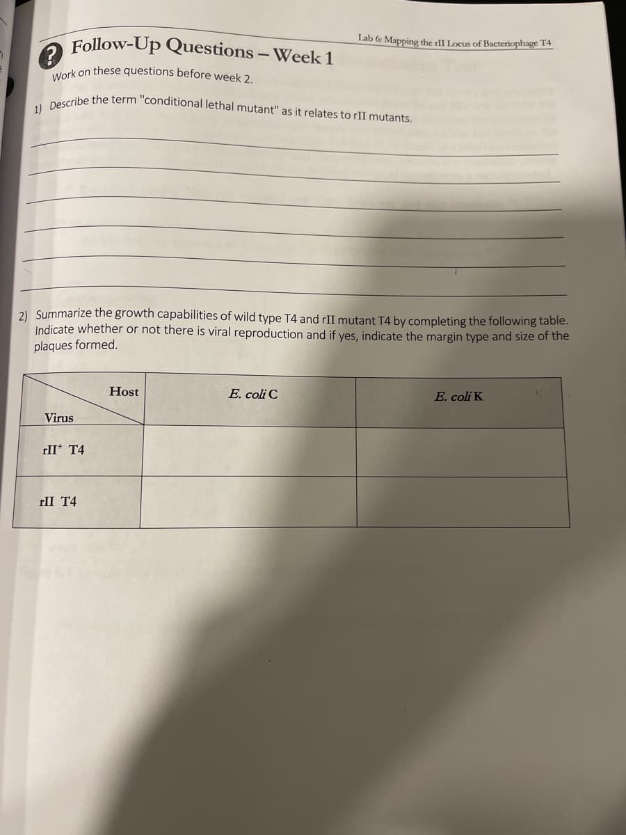 Follow-Up Questions - Week 1
Work on these questions before week 2.
1) Describe the term "conditional lethal mutant" as it relates to rII mutants.
2) Summarize the growth capabilities of wild type T4 and rII mutant T4 by comple the following table.
Indicate whether or not there is viral reproduction and if yes, indicate the margin type and size of the
plaques formed.
Virus
rII T4
rII T4
Host
Lab 6: Mapping the rII Locus of Bacteriophage T4
E. coli C
E. coli K