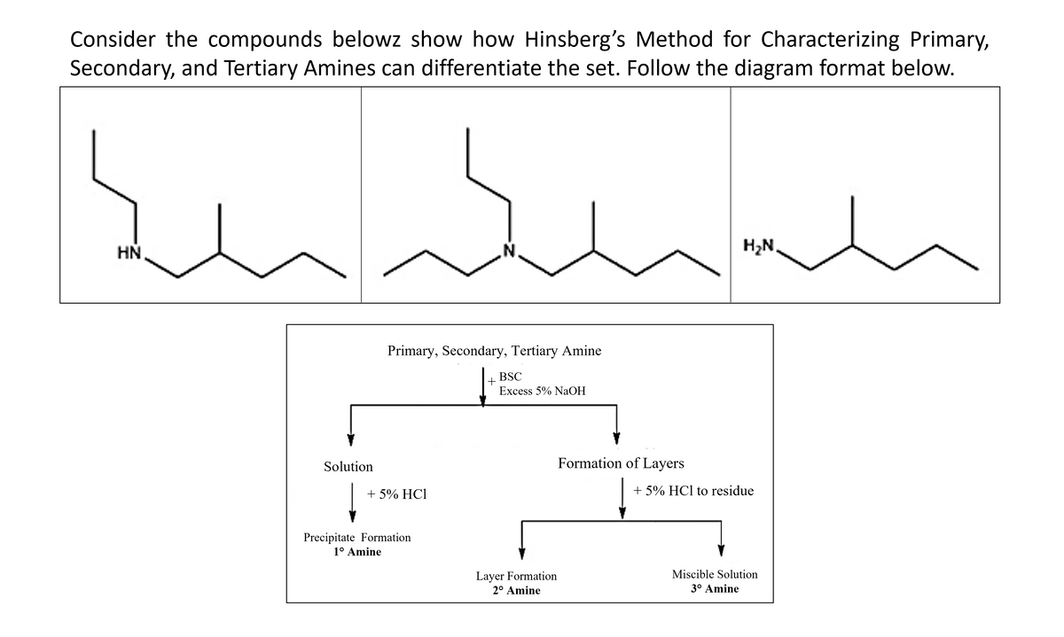 Consider the compounds belowz show how Hinsberg's Method for Characterizing Primary,
Secondary, and Tertiary Amines can differentiate the set. Follow the diagram format below.
HN,
H;N.
Primary, Secondary, Tertiary Amine
BSC
+
Excess 5% NaOH
Solution
Formation of Layers
+ 5% HC1
+ 5% HCl to residue
Precipitate Formation
1° Amine
Layer Formation
2° Amine
Miscible Solution
3° Amine
