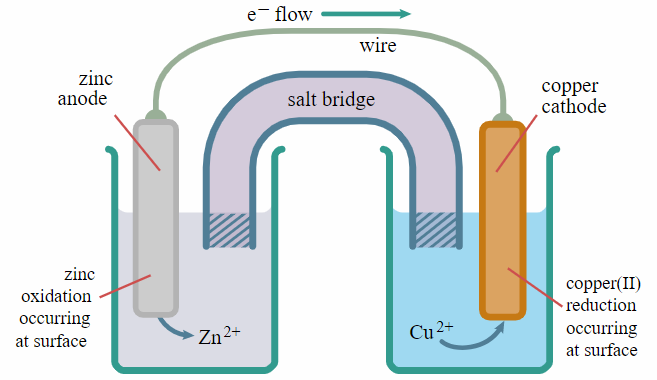 e- flow
wire
zinc
anode
сорper
cathode
salt bridge
zinc
copper(II)
• reduction
occurring
oxidation
оссurring
Zn 2+
Cu 2+
at surface
at surface

