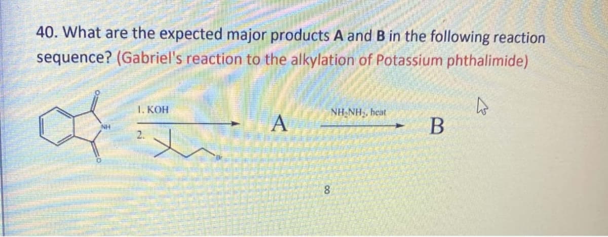 40. What are the expected major products A and B in the following reaction
sequence? (Gabriel's reaction to the alkylation of Potassium phthalimide)
1. KOH
NH NH, heat
A
B
8