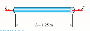 T
T
L= 1.25 m
