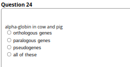 Question 24
alpha-globin in cow and pig
O orthologous genes
O paralogous genes
O pseudogenes
O all of these
