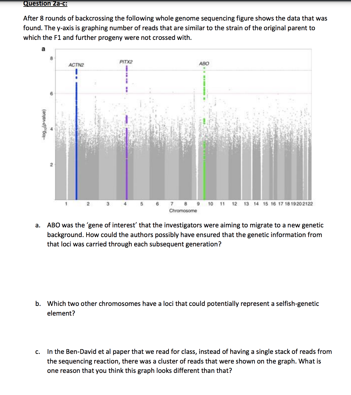 Question 2a-c:
After 8 rounds of backcrossing the following whole genome sequencing figure shows the data that was
found. The y-axis is graphing number of reads that are similar to the strain of the original parent to
which the F1 and further progeny were not crossed with.
PITX2
ABO
ACTN2
2
4 5 6 7 8 9
10
11
12
13 14 15 16 17 18 19202122
Chromosome
a.
ABO was the 'gene of interest' that the investigators were aiming to migrate to a new genetic
background. How could the authors possibly have ensured that the genetic information from
that loci was carried through each subsequent generation?
b. Which two other chromosomes have a loci that could potentially represent a selfish-genetic
element?
In the Ben-David et al paper that we read for class, instead of having a single stack of reads from
c.
the sequencing reaction, there was a cluster of reads that were shown on the graph. What is
one reason that you think this graph looks different than that?
(anen-dyoBo-
