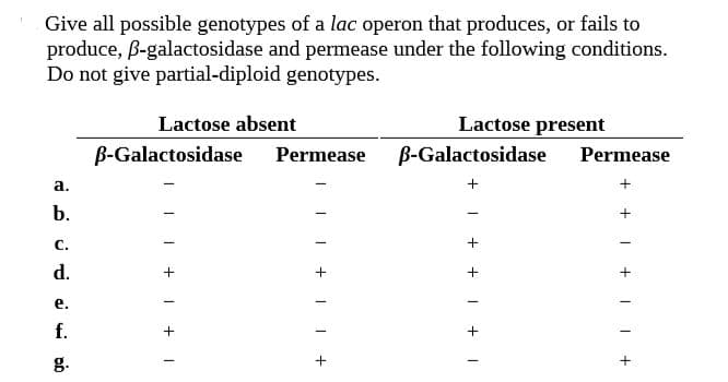 Give all possible genotypes of a lac operon that produces, or fails to
produce, B-galactosidase and permease under the following conditions.
Do not give partial-diploid genotypes.
Lactose present
B-Galactosidase
Lactose absent
B-Galactosidase
Permease
Permease
a.
b.
C.
d.
e.
f.
g.
+ I + II +
+ + | +I
