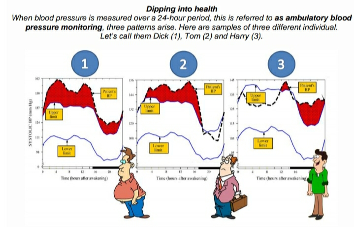 Dipping into health
When blood pressure is measured over a 24-hour period, this is referred to as ambulatory blood
pressure monitoring, three patterns arise. Here are samples of three different individual.
Let's call them Dick (1), Tom (2) and Harry (3).
1
2
3
Patient's
Paticnt's
BP
BP
Palicet's
Upper
limit
Upper
limit
12
Upper
lim
124
120
Lower
limit
Lower
Lower
limit
Time (houn after wakening)
Time (hours after awakening)
Time (hours after awakenin
SYSTOLIC BP (mm Hg)
