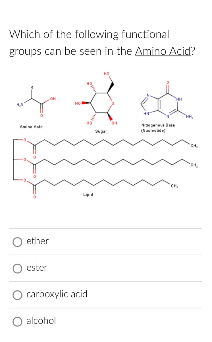 Which of the following functional
groups can be seen in the Amino Acid?
H₂N
Amino Acid
0
. OH
ether
ester
HO
alcohol
HO
Lipid
O carboxylic acid.
HO
Sugal
0
OH
N.
HN
Nitrogenous Base
(Nucleotide)
ΝΗ
CH₂
"NH₂
CH₂
CH₂