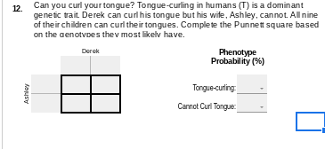 12.
Can you curl your tongue? Tongue-curling in humans (T) is a dominant
genetic trait. Derek can curl his tongue but his wife, Ashley, cannot. All nine
of their children can curl their tongues. Complete the Punnett square based
on the genotvoes the most likely have.
Derek
Phenotype
Probability (%)
Ashley
Tongue-curling:
Cannot Curl Tongue: