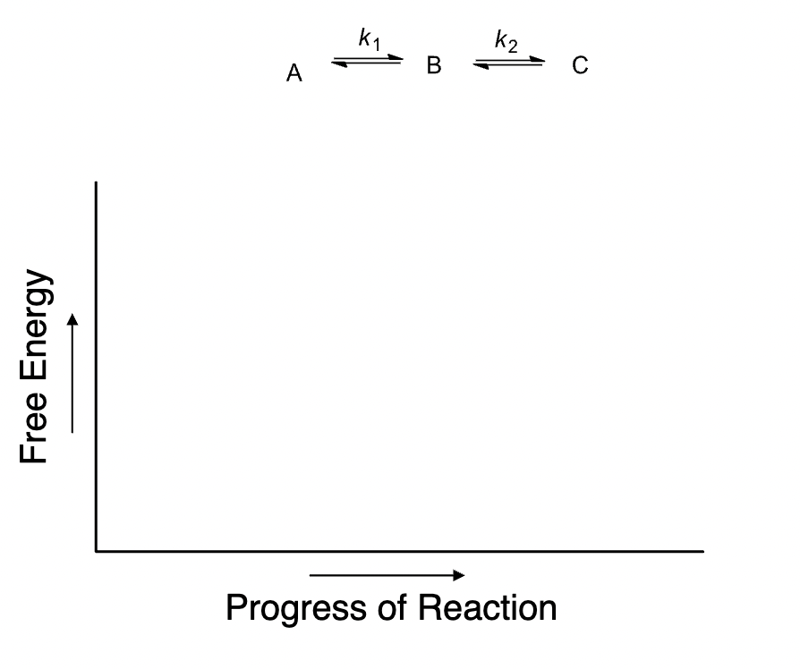 Free Energy
A
K₁
B
K₂
Progress of Reaction
C