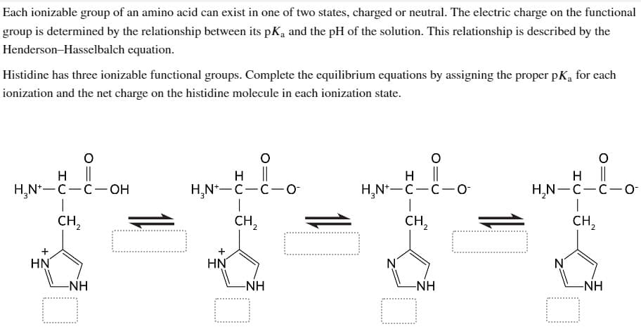 Each ionizable group of an amino acid can exist in one of two states, charged or neutral. The electric charge on the functional
group is determined by the relationship between its pK and the pH of the solution. This relationship is described by the
Henderson-Hasselbalch equation.
Histidine has three ionizable functional groups. Complete the equilibrium equations by assigning the proper pK₁ for each
ionization and the net charge on the histidine molecule in each ionization state.
1-1-OH
H₂N-C-C-OH
1
CH₂
+
HN
-NH
O
H ||
H₂N-C-C-0-
|
CH ₂
HN
-NH
O
O
H ||
H₂N-C-C-0-
1
CH₂
-NH
□
H
H₂N-C-C-0-
Lio
CH ₂
O
-NH