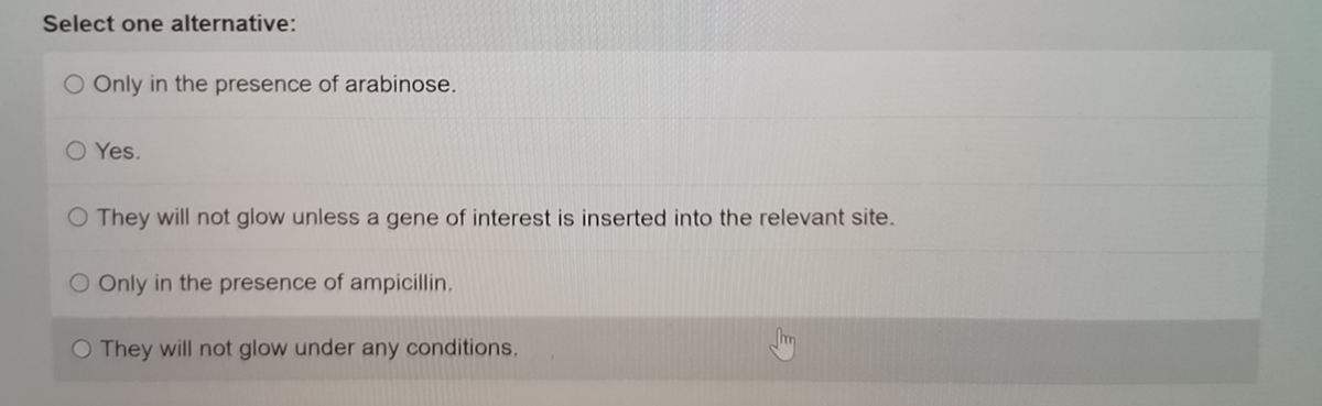 Select one alternative:
O Only in the presence of arabinose.
O Yes.
O They will not glow unless a gene of interest is inserted into the relevant site.
O Only in the presence of ampicillin.
O They will not glow under any conditions.