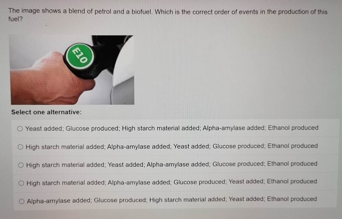 The image shows a blend of petrol and a biofuel. Which is the correct order of events in the production of this
fuel?
E10
Select one alternative:
O Yeast added; Glucose produced; High starch material added; Alpha-amylase added; Ethanol produced
O High starch material added; Alpha-amylase added; Yeast added; Glucose produced; Ethanol produced
High starch material added; Yeast added; Alpha-amylase added; Glucose produced; Ethanol produced
O High starch material added; Alpha-amylase added; Glucose produced; Yeast added; Ethanol produced
O Alpha-amylase added; Glucose produced; High starch material added; Yeast added; Ethanol produced