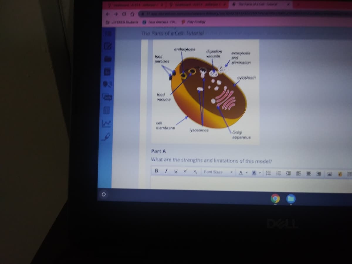 9 A4 Jen 14
4.
400
JEFCOED Sudents trer Analyes FiR
Pay Piodigy
The Parts of a Cell Tutorial
sndoeylosis
igestive
vacucle
food
and
imination
ferticles
food
vacuole
cell
membrane
lysosomes
Golgi
apparatus
Part A
What are the strengths and limitations of this model?
B
Font Sizes
A, A, E 三蛋
DELL
