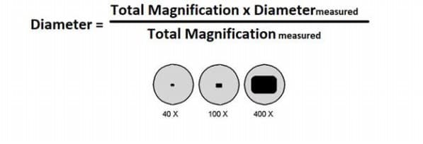 Diameter =
Total Magnification x Diametermeasured
Total Magnification measured
40 X
100 X
400 X