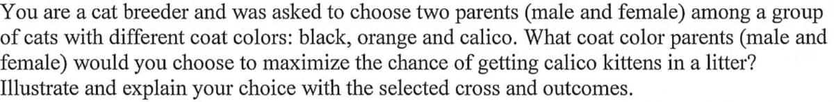 You are a cat breeder and was asked to choose two parents (male and female) among a group
of cats with different coat colors: black, orange and calico. What coat color parents (male and
female) would you choose to maximize the chance of getting calico kittens in a litter?
Illustrate and explain your choice with the selected cross and outcomes.
