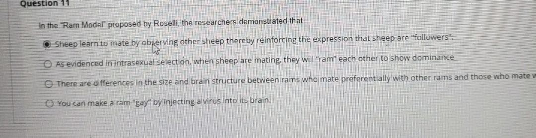 Question 11
In the "Ram Model" proposed by Roselli, the researchers demonstrated that
O Sheep learn to mate by obgerving other sheep thereby reinforcing the expression that sheep are "followers"
O As evidenced in intrasexual selection, when sheep are mating, they will "ram" each other to show dominance
O There are differences in the size and brain structure between irams who mate preferentially with other rams and those who mate w
O You can make a ram "gay" by injecting al virus into its brain.
