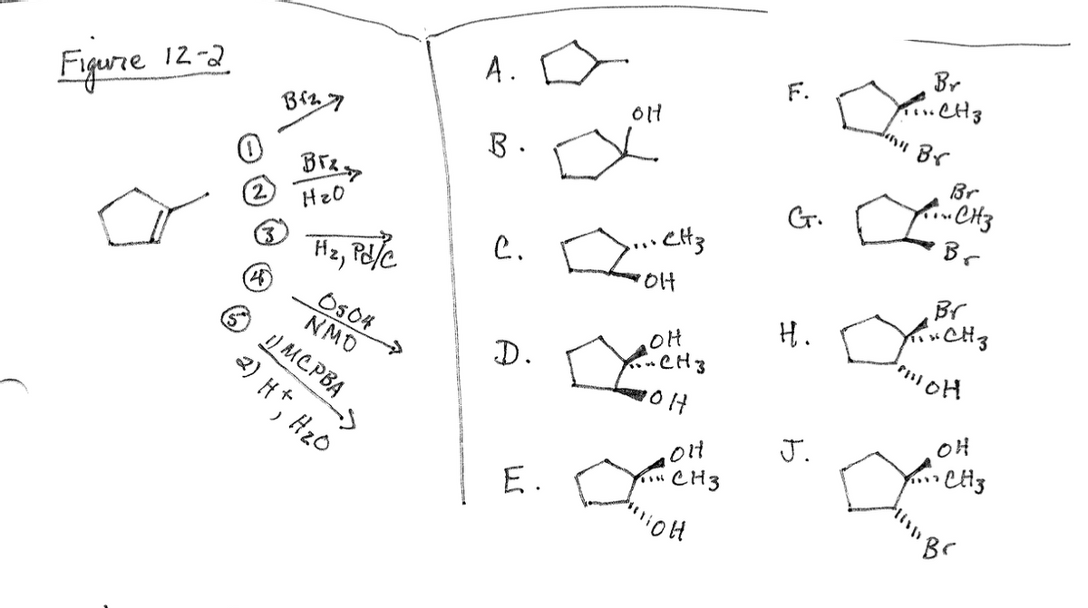 Figure 12-2
О
2
45
2) H+, H2O
выгод
в Гъду
H₂0
Hz, Pd/c
0504
NMO
1) Мерва
А.
В.
с. Д
D.
애
Е.
.... CH3
애
он
-CH3
OH
он
CH3
пон
***
Ст.
н.
Г.
а
Br
бенз
Br
Br
... CH3
Вг
Br
оренд
CH 3
тон
он
CH3