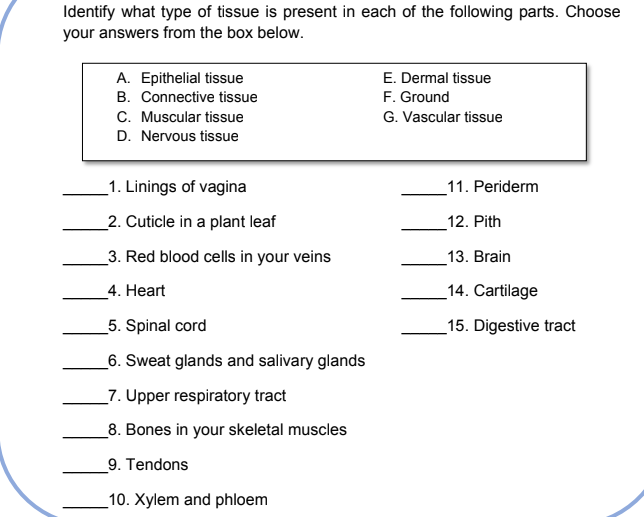 Identify what type of tissue is present in each of the following parts. Choose
your answers from the box below.
A. Epithelial tissue
B. Connective tissue
C. Muscular tissue
E. Dermal tissue
F. Ground
G. Vascular tissue
D. Nervous tissue
1. Linings of vagina
11. Periderm
_2. Cuticle in a plant leaf
_12. Pith
_3. Red blood cells in your veins
13. Brain
4. Heart
14. Cartilage
5. Spinal cord
_15. Digestive tract
_6. Sweat glands and salivary glands
_7. Upper respiratory tract
_8. Bones in your skeletal muscles
9. Tendons
_10. Xylem and phloem
