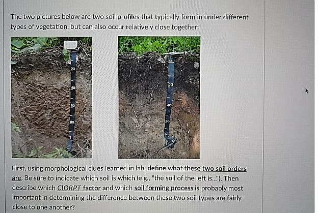 The two pictures below are two soil profiles that typically form in under different
types of vegetation, but can also occur relatively close together:
20
40
First, using morphological clues learned in lab, define what these two soil orders
are. Be sure to indicate which soil is which (e.g., "the soil of the left is."). Then
describe which CIORPT factor and which soil forming.process is probably most
important in determining the difference between these two soil types are fairly
close to one another?
