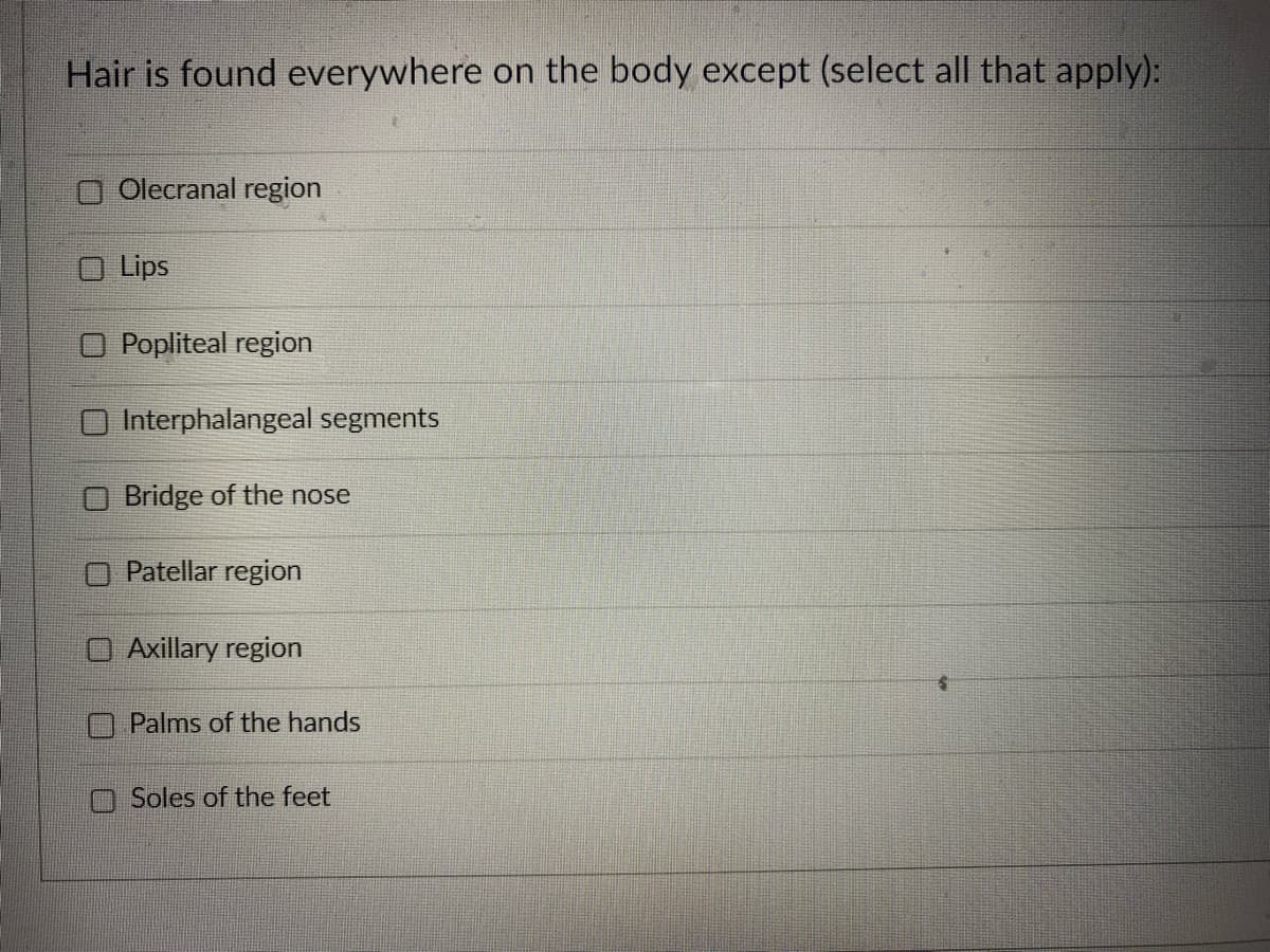 Hair is found everywhere on the body except (select all that apply):
Olecranal region
O Lips
O Popliteal region
Interphalangeal segments
Bridge of the nose
Patellar region
O Axillary region
Palms of the hands
Soles of the feet