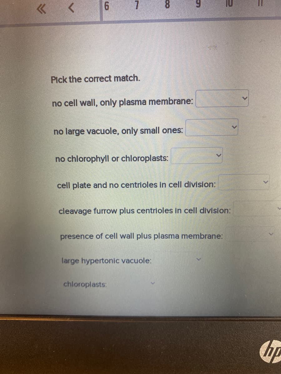 «
<
6
7
Pick the correct match.
no cell wall, only plasma membrane:
no large vacuole, only small ones:
no chlorophyll or chloroplasts:
cell plate and no centrioles in cell division:
cleavage furrow plus centrioles in cell division:
presence of cell wall plus plasma membrane:
large hypertonic vacuole:
chloroplasts:
hp