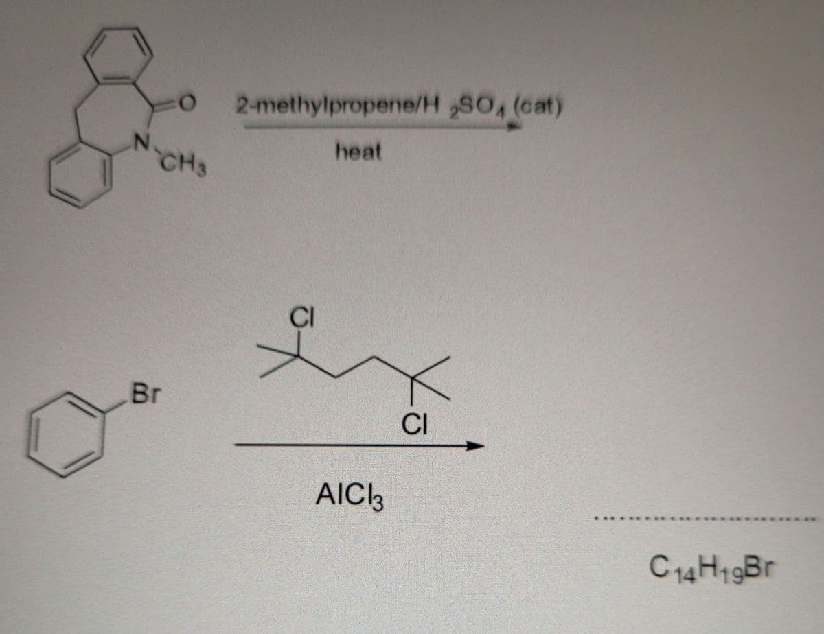 N
O
CH3
Br
2-methylpropene/H 2SO4 (cat)
heat
AICI3
CI
C14H19Br