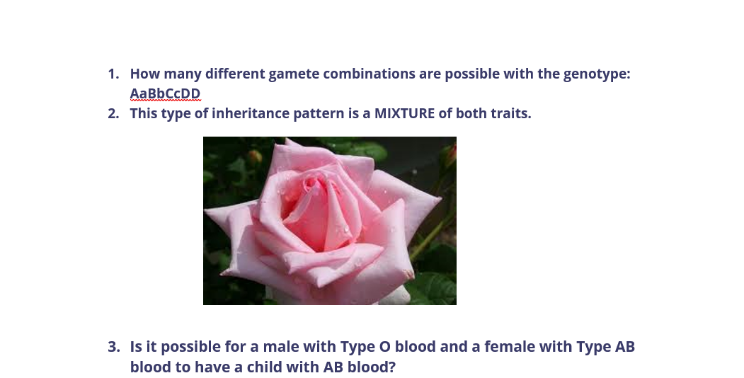 1. How many different gamete combinations are possible with the genotype:
AABBCCDD
2. This type of inheritance pattern is a MIXTURE of both traits.
3. Is it possible for a male with Type O blood and a female with Type AB
blood to have a child with AB blood?
