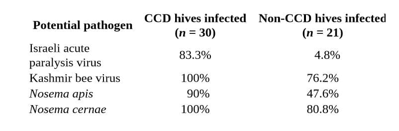 CCD hives infected Non-CCD hives infected
(n = 30)
Potential pathogen
(n = 21)
Israeli acute
paralysis virus
Kashmir bee virus
83.3%
4.8%
100%
76.2%
Nosema apis
90%
47.6%
Nosema cernae
100%
80.8%
