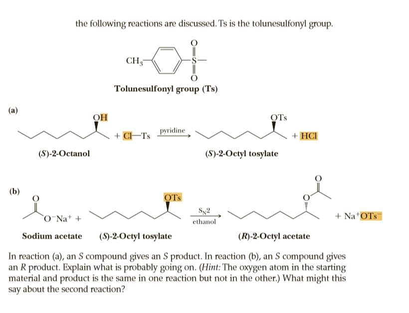 the following reactions are discussed. Ts is the tolunesulfonyl group.
CH;
Tolunesulfonyl group (Ts)
(a)
OH
OTs
pyridine
+ C-Ts
+ HCI
(S)-2-Octanol
(S)-2-Octyl tosylate
(b)
OTS
Sy2
ONa+ +
+ Na OTs
ethanol
Sodium acetate
(S)-2-Octyl tosylate
(R)-2-Octyl acetate
In reaction (a), an S compound gives an S product. In reaction (b), an S compound gives
an R product. Explain what is probably going on. (Hint: The oxygen atom in the starting
material and product is the same in one reaction but not in the other.) What might this
say about the second reaction?
