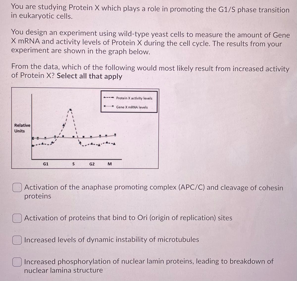 You are studying Protein X which plays a role in promoting the G1/S phase transition
in eukaryotic cells.
You design an experiment using wild-type yeast cells to measure the amount of Gene
X MRNA and activity levels of Protein X during the cell cycle. The results from your
experiment are shown in the graph below.
From the data, which of the following would most likely result from increased activity
of Protein X? Select all that apply
- Protein X activity levels
Gene X MRNA levels
Relative
Units
G1
G2
M
Activation of the anaphase promoting complex (APC/C) and cleavage of cohesin
proteins
Activation of proteins that bind to Ori (origin of replication) sites
Increased levels of dynamic instability of microtubules
O Increased phosphorylation of nuclear lamin proteins, leading to breakdown of
nuclear lamina structure
