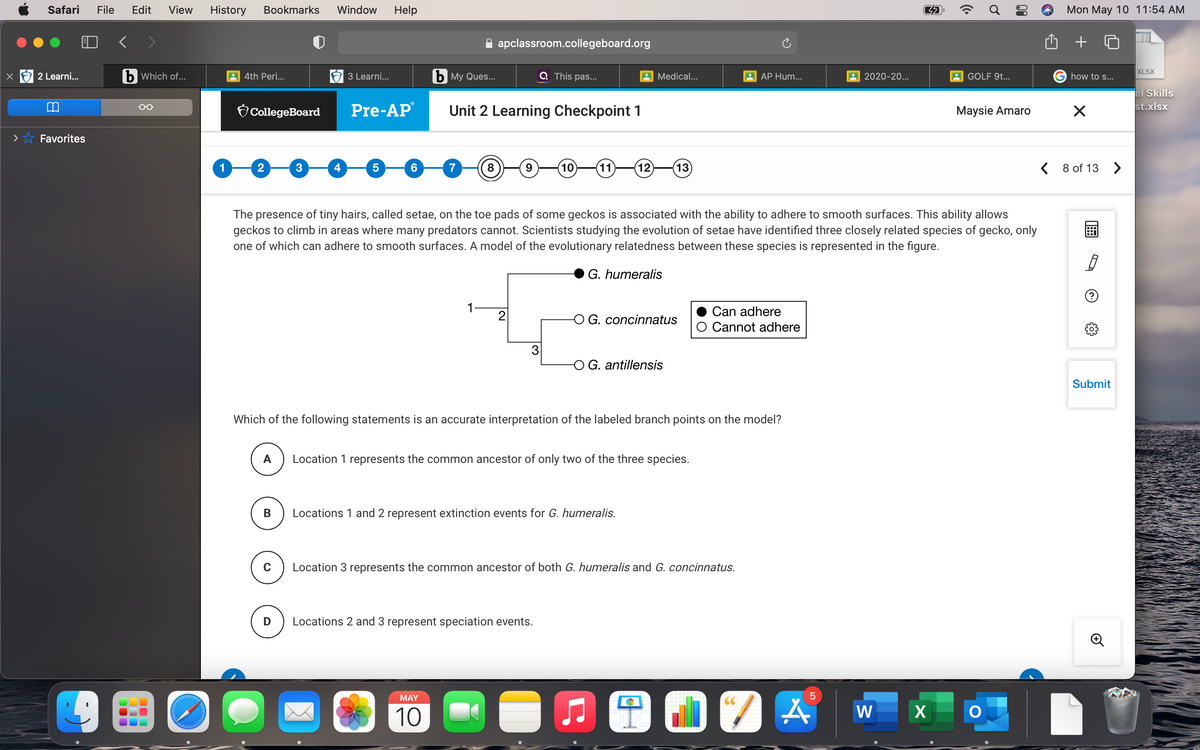 Safari
File
Edit
View
History
Bookmarks
Window
Help
Mon May 10 11:54 AM
A apclassroom.collegeboard.org
XLSX
2 Learni...
b Which of...
4th Peri...
3 Learni...
Ь Му Ques...
Q This pas...
Medical...
AP Hum...
2020-20...
GOLF 9t...
G how to S...
el Skills
Pre-AP
st.xlsx
Unit 2 Learning Checkpoint 1
00
CollegeBoard
Maysie Amaro
Favorites
1
2
7
9.
10
11
12
13
< 8 of 13 >
4
The presence of tiny hairs, called setae, on the toe pads of some geckos is associated with the ability to adhere to smooth surfaces. This ability allows
geckos to climb in areas where many predators cannot. Scientists studying the evolution of setae have identified three closely related species of gecko, only
one of which can adhere to smooth surfaces. A model of the evolutionary relatedness between these species is represented in the figure.
G. humeralis
1
Can adhere
2
G. concinnatus
O Cannot adhere
3
O G. antillensis
Submit
Which of the following statements is an accurate interpretation of the labeled branch points on the model?
A
Location 1 represents the common ancestor of only two of the three species.
В
Locations 1 and 2 represent extinction events for G. humeralis.
C
Location 3 represents the common ancestor of both G. humeralis and G. concinnatus.
Locations 2 and 3 represent speciation events.
MAY
CC
10
W
