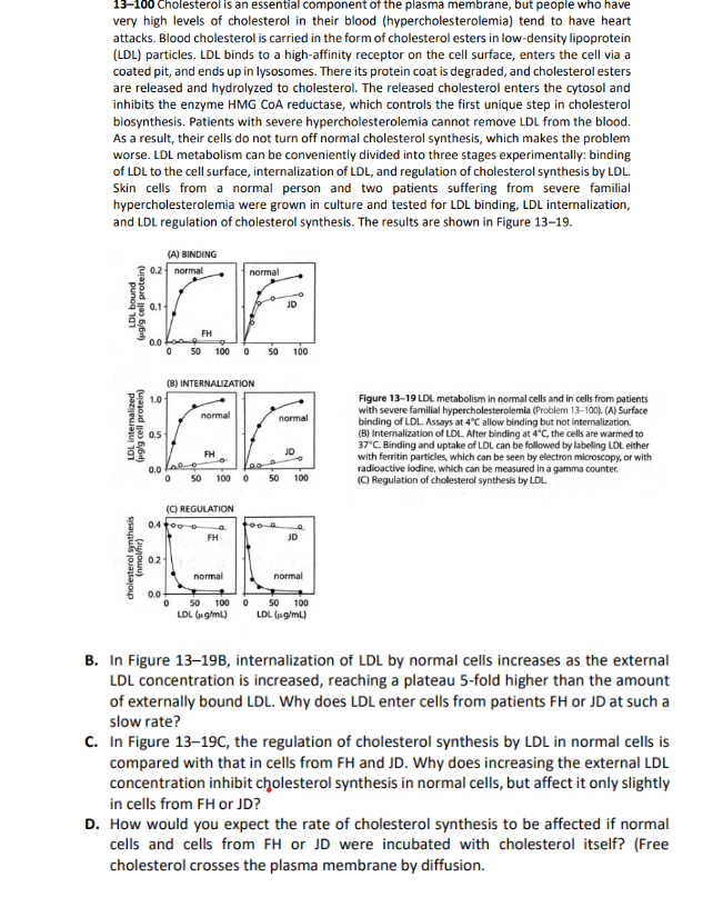 13-100 Cholesterol is an essential component of the plasma membrane, but people who have
very high levels of cholesterol in their blood (hypercholesterolemia) tend to have heart
attacks. Blood cholesterol is carried in the form of cholesterol esters in low-density lipoprotein
(LDL) particles. LDL binds to a high-affinity receptor on the cell surface, enters the cell via a
coated pit, and ends up in lysosomes. There its protein coat is degraded, and cholesterol esters
are released and hydrolyzed to cholesterol. The released cholesterol enters the cytosol and
inhibits the enzyme HMG CoA reductase, which controls the first unique step in cholesterol
biosynthesis. Patients with severe hypercholesterolemia cannot remove LDL from the blood.
As a result, their cells do not turn off normal cholesterol synthesis, which makes the problem
worse. LDL metabolism can be conveniently divided into three stages experimentally: binding
of LDL to the cell surface, internalization of LDL, and regulation of cholesterol synthesis by LDL.
Skin cells from a normal person and two patients suffering from severe familial
hypercholesterolemia were grown in culture and tested for LDL binding, LDL internalization,
and LDL regulation of cholesterol synthesis. The results are shown in Figure 13-19.
(ug/g cell protein)
LDL internalized
(pg/g cell protein)
cholesterol synthesis
(nmol/hr)
0.2 normal
0.1
0.0 tooe
(A) BINDING
1.0
0.0000
0
0.2
0 50 100
(8) INTERNALIZATION
normal
124
0.5
FH
50 100 0
0.0
04000
FH
(C) REGULATION
0
FH
normal
normal
0
JD
50 100
normal
JD
50 100
JD
normal
50 100 0 50 100
LDL (μg/mL)
LDL (g/mL)
Figure 13-19 LDL metabolism in normal cells and in cells from patients
with severe familial hypercholesterolemia (Problem 13-100). (A) Surface
binding of LDL. Assays at 4°C allow binding but not internalization.
(B) Internalization of LDL. After binding at 4°C, the cells are warmed to
37°C. Binding and uptake of LDL can be followed by labeling LDL either
with ferritin particles, which can be seen by electron microscopy, or with
radioactive iodine, which can be measured in a gamma counter.
(C) Regulation of cholesterol synthesis by LDL
B. In Figure 13-19B, internalization of LDL by normal cells increases as the external
LDL concentration is increased, reaching a plateau 5-fold higher than the amount
of externally bound LDL. Why does LDL enter cells from patients FH or JD at such a
slow rate?
C. In Figure 13-19C, the regulation of cholesterol synthesis by LDL in normal cells is
compared with that in cells from FH and JD. Why does increasing the external LDL
concentration inhibit cholesterol synthesis in normal cells, but affect it only slightly
in cells from FH or JD?
D. How would you expect the rate of cholesterol synthesis to be affected if normal
cells and cells from FH or JD were incubated with cholesterol itself? (Free
cholesterol crosses the plasma membrane by diffusion.